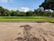 Expansive backyard featuring a lush green lawn surrounded by mature trees at 413 Shannon Estates Ct, Plant City, FL 33563