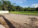 Spacious backyard featuring a large green lawn bordered by mature trees at 413 Shannon Estates Ct, Plant City, FL 33563