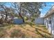 Backyard view, featuring a storage shed and a large oak tree at 4304 Woodfield Ave, Holiday, FL 34691