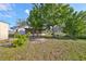 Large backyard with mature trees and plenty of space at 11 Leaning Palm Ct, Plant City, FL 33563