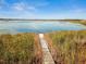 Long dock surrounded by high grasses leading out to the lake at 10058 Shoreline View Way, Wesley Chapel, FL 33545