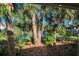Lush backyard with mature palm trees and water views at 1012 Osprey Ct, Tarpon Springs, FL 34689