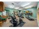 Community fitness center with various exercise equipment at 1012 Osprey Ct, Tarpon Springs, FL 34689