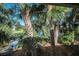 Lush landscaping with tranquil water view at 1012 Osprey Ct, Tarpon Springs, FL 34689