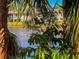 Peaceful water view from the community at 1012 Osprey Ct, Tarpon Springs, FL 34689