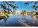 Serene waterfront view of community homes at 1012 Osprey Ct, Tarpon Springs, FL 34689