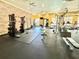 Well-equipped fitness center with various exercise machines at 1810 E Palm Ave # 7305, Tampa, FL 33605