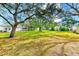 Large backyard with mature trees and grassy area at 2579 Forest Run Ct, Clearwater, FL 33761