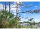 Great blue heron in lakeside tree at 3192 Nautical S Pl, St Petersburg, FL 33712