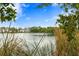Scenic lake view with lush vegetation at 3192 Nautical S Pl, St Petersburg, FL 33712