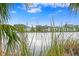 Peaceful lake view from the backyard at 3192 Nautical S Pl, St Petersburg, FL 33712