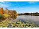 Stunning lake view with lush vegetation at 5028 School Rd, Land O Lakes, FL 34638
