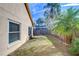 Side yard with lawn, palm trees and wood fence at 2529 Clareside Dr, Valrico, FL 33596
