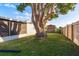 Spacious backyard with a large tree, providing shade and a private feel at 2713 Apia Pl, Holiday, FL 34691
