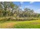 Lush backyard with trees and green grass at 2950 Lytton Hall Dr, Zephyrhills, FL 33540