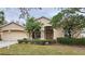 Tan house with a brown door and two palm trees in the front yard at 6013 Catlin Dr, Tampa, FL 33647
