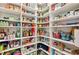 Large corner pantry with extensive shelving for food storage at 21361 Snowy Orchid Ter, Land O Lakes, FL 34637
