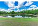 Serene pond view with lush green surroundings at 21361 Snowy Orchid Ter, Land O Lakes, FL 34637