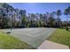 Outdoor basketball court surrounded by trees; great for sports and recreation at 5021 Gato Del Sol Cir, Wesley Chapel, FL 33544