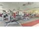 Community fitness center with various exercise equipment at 5021 Gato Del Sol Cir, Wesley Chapel, FL 33544