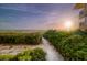 Beach access path with lush vegetation leading to the shoreline at 6006 Gulf Dr # 207, Holmes Beach, FL 34217