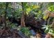 Serene creek flows through lush vegetation at 16606 Forest Park Dr, Lutz, FL 33549