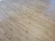 Close-up of wood-look laminate flooring at 7750 92Nd St # 208, Seminole, FL 33777