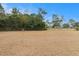 Large backyard with a view of trees and fence at 8331 Silverbell Loop, Brooksville, FL 34613