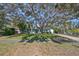 Charming light blue home with large oak tree in the front yard at 1154 Commodore St, Clearwater, FL 33755