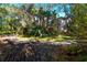 Overgrown backyard with mature trees and tropical plants surrounding a home at 5400 Bates St, Seminole, FL 33772