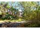 Overgrown backyard with mature trees and tropical plants surrounding a two-story home at 5400 Bates St, Seminole, FL 33772