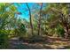 Lush, overgrown backyard with a pathway and diverse vegetation at 5400 Bates St, Seminole, FL 33772