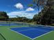 Blue and green pickleball courts, perfect for friendly matches and staying active at 36750 Us Highway 19 N # 06110, Palm Harbor, FL 34684