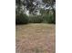 Wooded backyard with dry grass at 37844 Beth St, Dade City, FL 33525