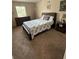 Well-lit bedroom with a queen-sized bed, carpeted floors, a dresser, and stylish decor at 10319 Boyette Creek Blvd, Riverview, FL 33569