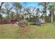 Spacious backyard with blooming bougainvillea, shed, and mature trees, perfect for outdoor enjoyment and gardening at 1406 Butch Cassidy Trl, Wimauma, FL 33598