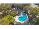 Aerial view of the community pool and pool house nestled among the trees at 3802 Brigadoon Cir, Clearwater, FL 33759