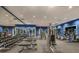 Modern fitness center with weights and cardio equipment at 6421 Mooring Line Cir, Apollo Beach, FL 33572