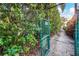 Pathway to beach through lush greenery at 744 Jungle Queen Way, Longboat Key, FL 34228