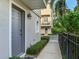 Walkway leading to the front door with a view of neighboring townhouses at 2606 Espana Ct, Tampa, FL 33609