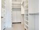 Spacious walk-in closet with built-in white shelves and drawers at 2606 Espana Ct, Tampa, FL 33609