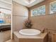 Main bathroom with a soaking tub, tiled walls, and natural light from windows at 3500 Woodridge Pl, Palm Harbor, FL 34684