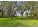 A lush green backyard, with mature trees, offering a peaceful view of the tranquil lake at 106 Rosana Dr, Brandon, FL 33511