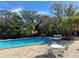 Inviting community pool with seating area surrounded by trees at 7218 E Bank Dr # 205, Tampa, FL 33617