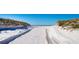Scenic path to beach through white sand dunes and natural vegetation, offering a serene coastal experience at 15 Avalon St # 704, Clearwater Beach, FL 33767