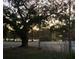 The lake view has trees, green areas and the sunset sky as seen from across the street at 1529 Paloma Ln, Dunedin, FL 34698