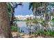 Scenic lake view with Spanish moss-draped trees at 502 N Herchel Dr, Temple Terrace, FL 33617