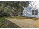 Spacious backyard with lush lawn and mature trees providing shade at 8620 Brookway Cir, Tampa, FL 33635