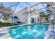 Large, refreshing pool with a screened enclosure and backyard views at 8620 Brookway Cir, Tampa, FL 33635