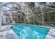 Inviting screened pool and patio area perfect for relaxation and outdoor enjoyment at 8620 Brookway Cir, Tampa, FL 33635